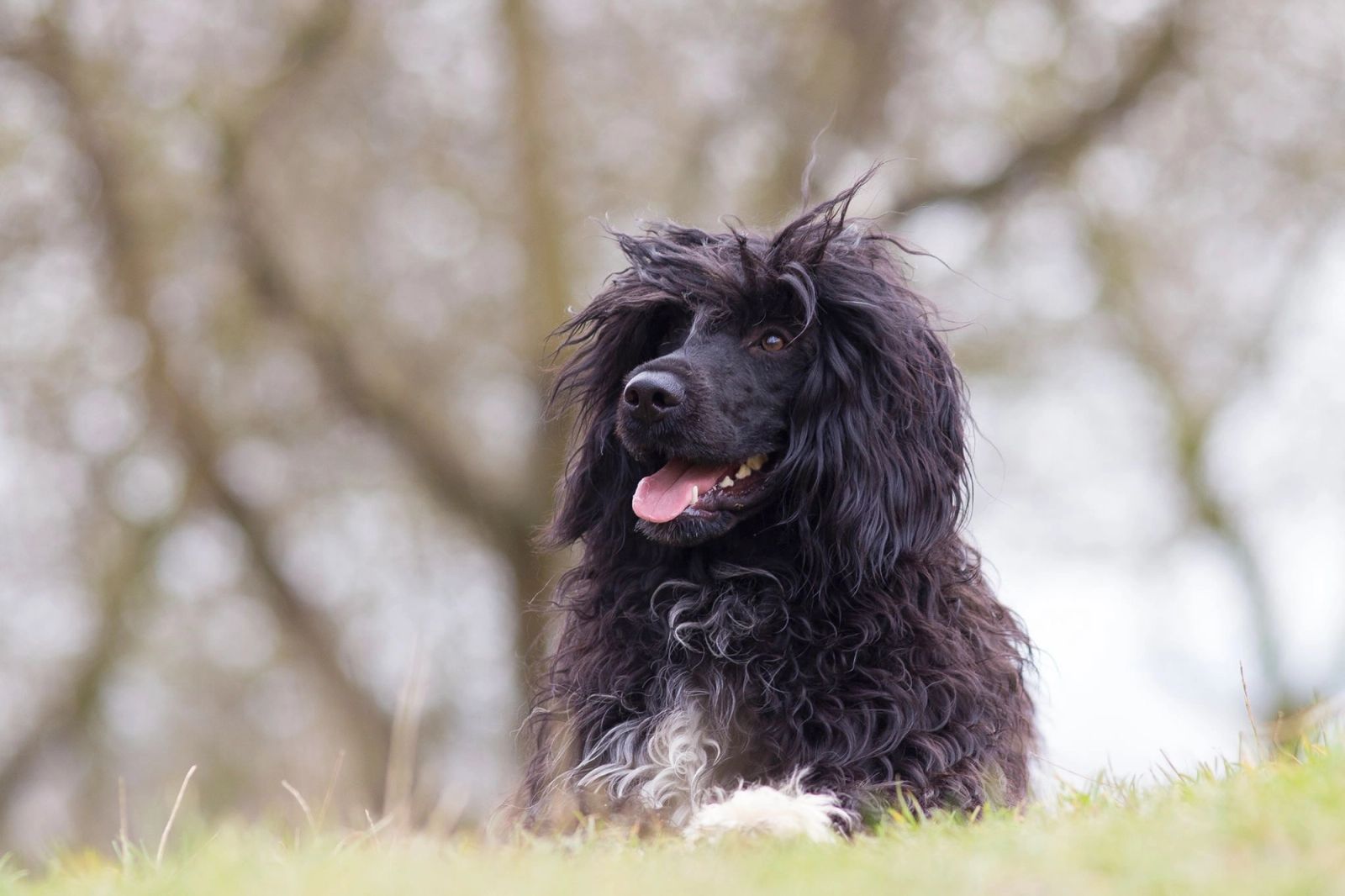 Fotografie Blondi - obrázek 15