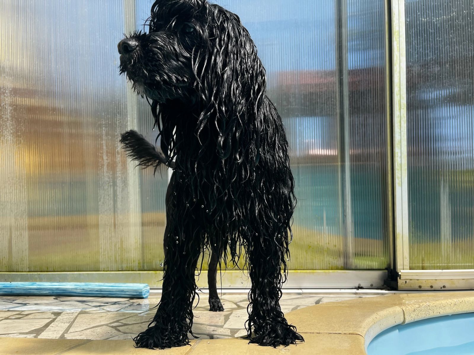 Fotografie Izi - obrázek 2