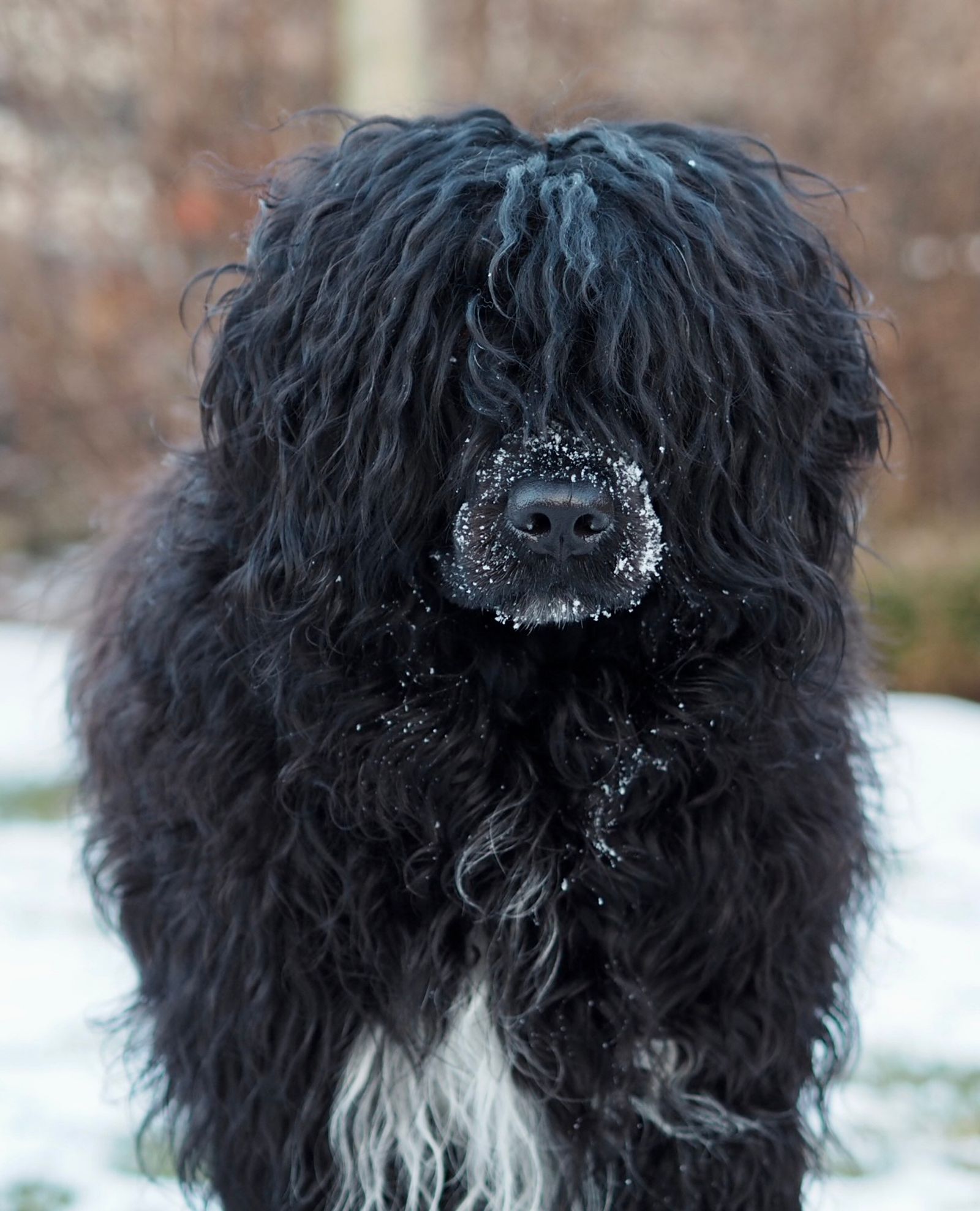 Fotografie Blondi - obrázek 6