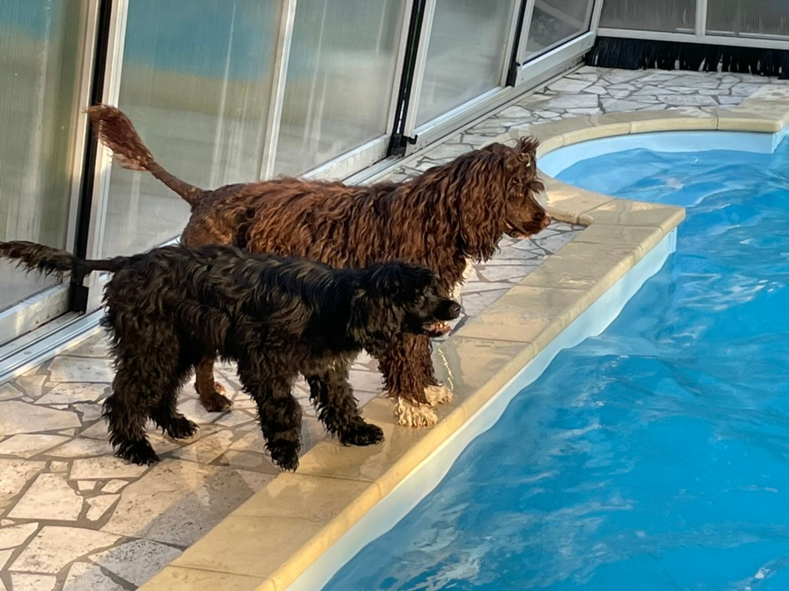 Fotografie Sára - obrázek 13