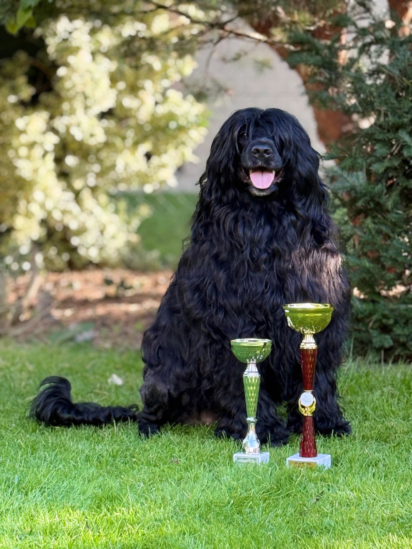 Fotografie Izi - obrázek 16