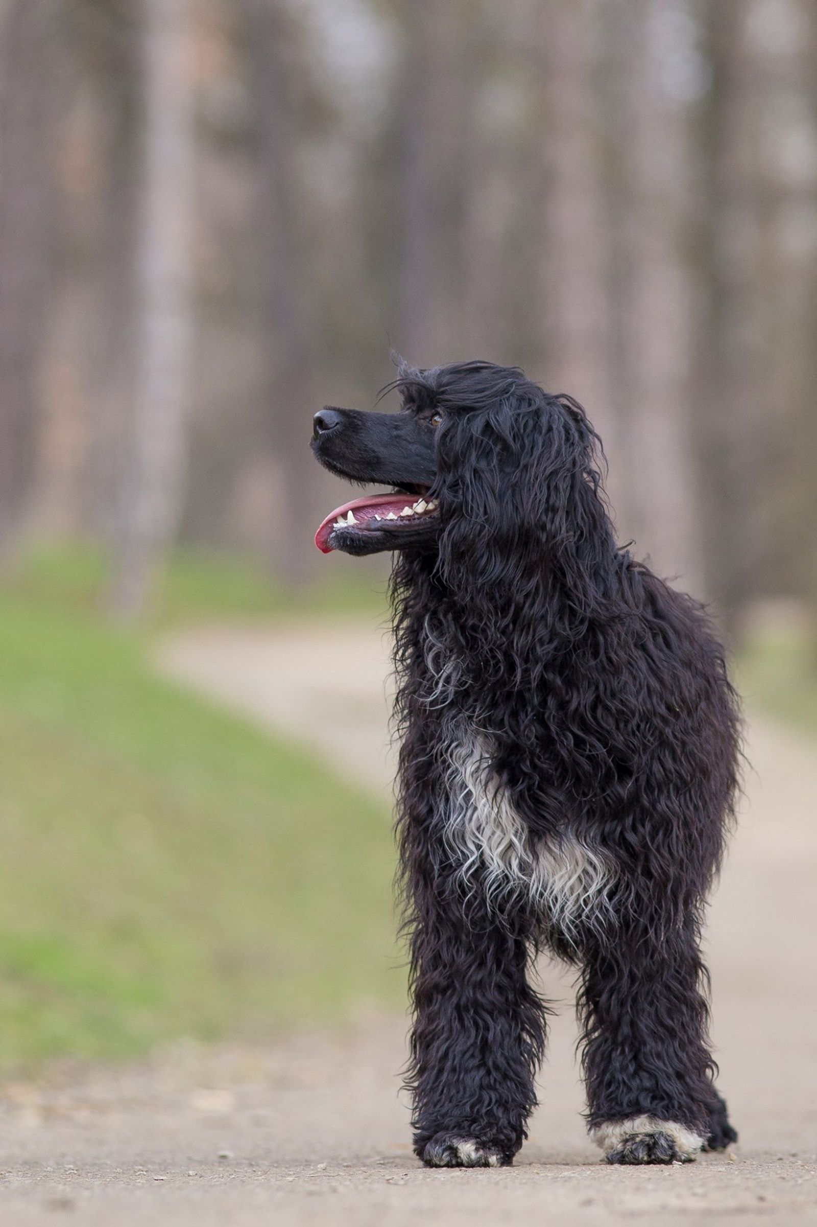 Fotografie Blondi - obrázek 16