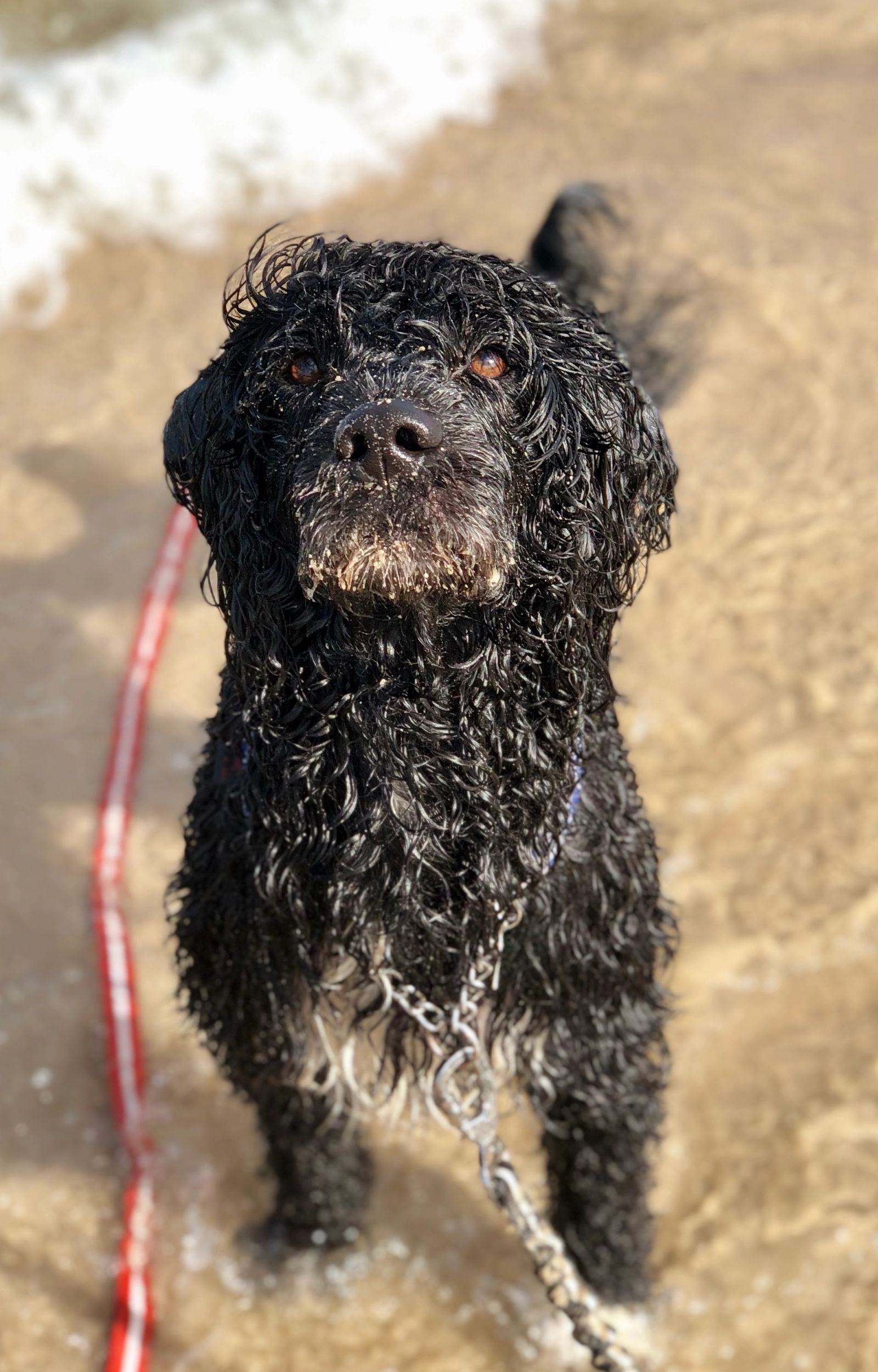 Fotografie Blondi - obrázek 13