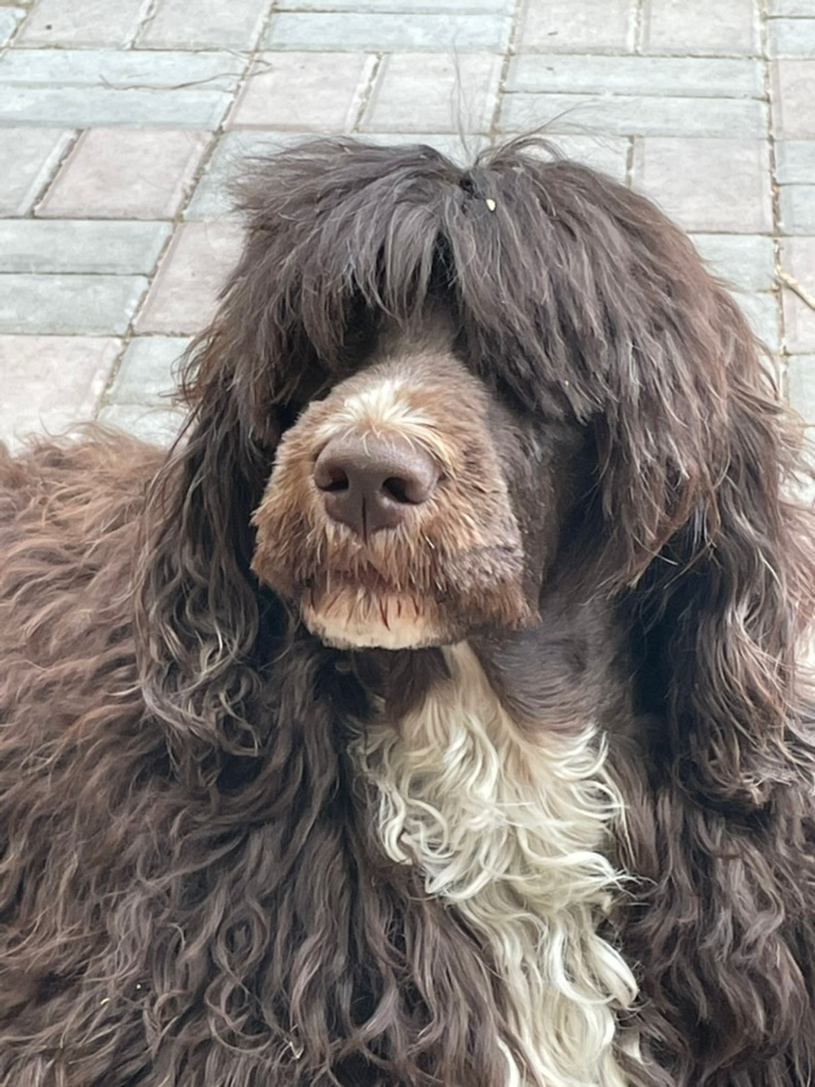 Fotografie Sára - obrázek 17