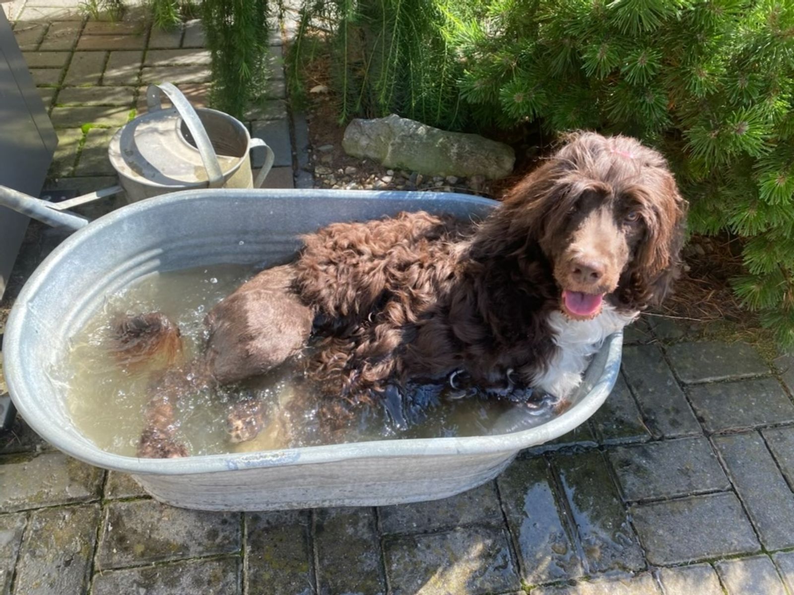 Fotografie Sára - obrázek 3