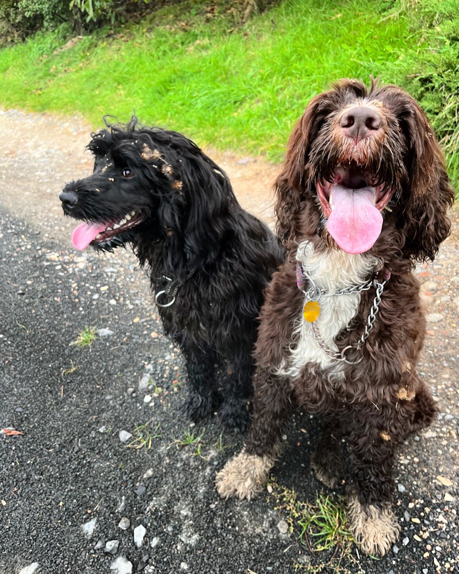 Izi a Sára honili zajíce