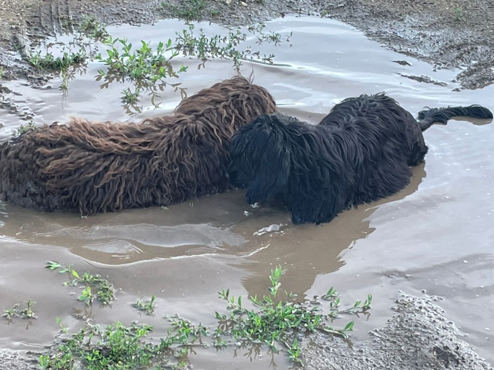 Fotografie Sára - obrázek 19