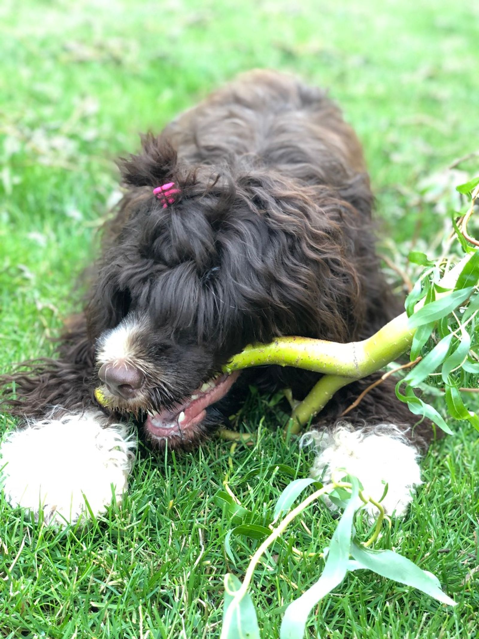 Fotografie Sára - obrázek 7