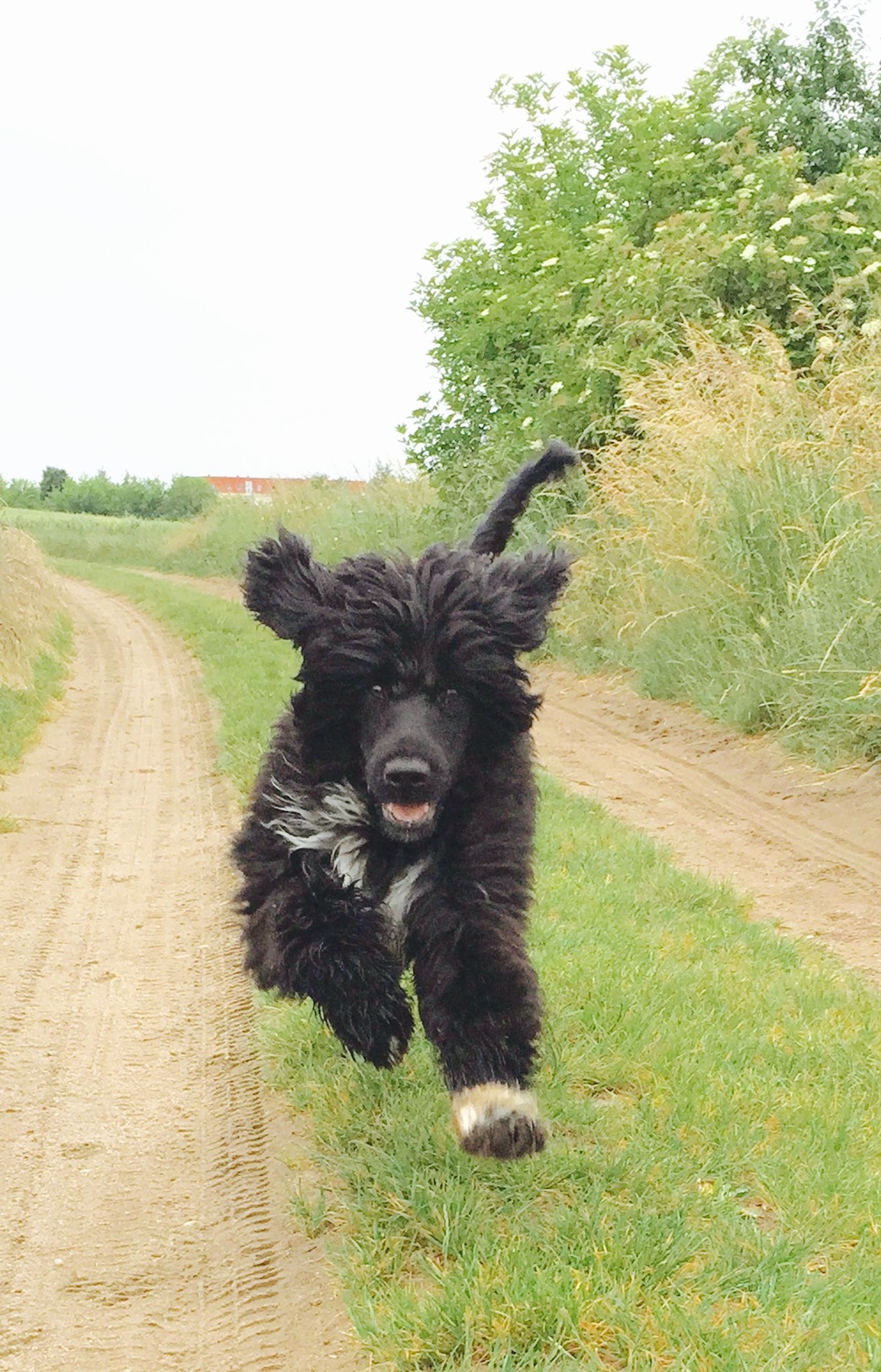 Fotografie Blondi - obrázek 3