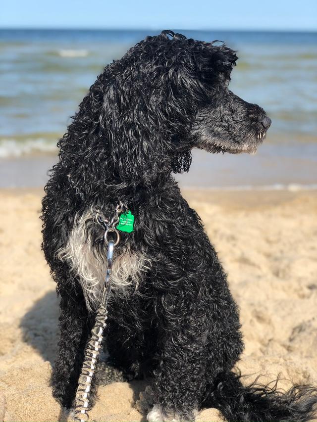 Endy Černý diamant