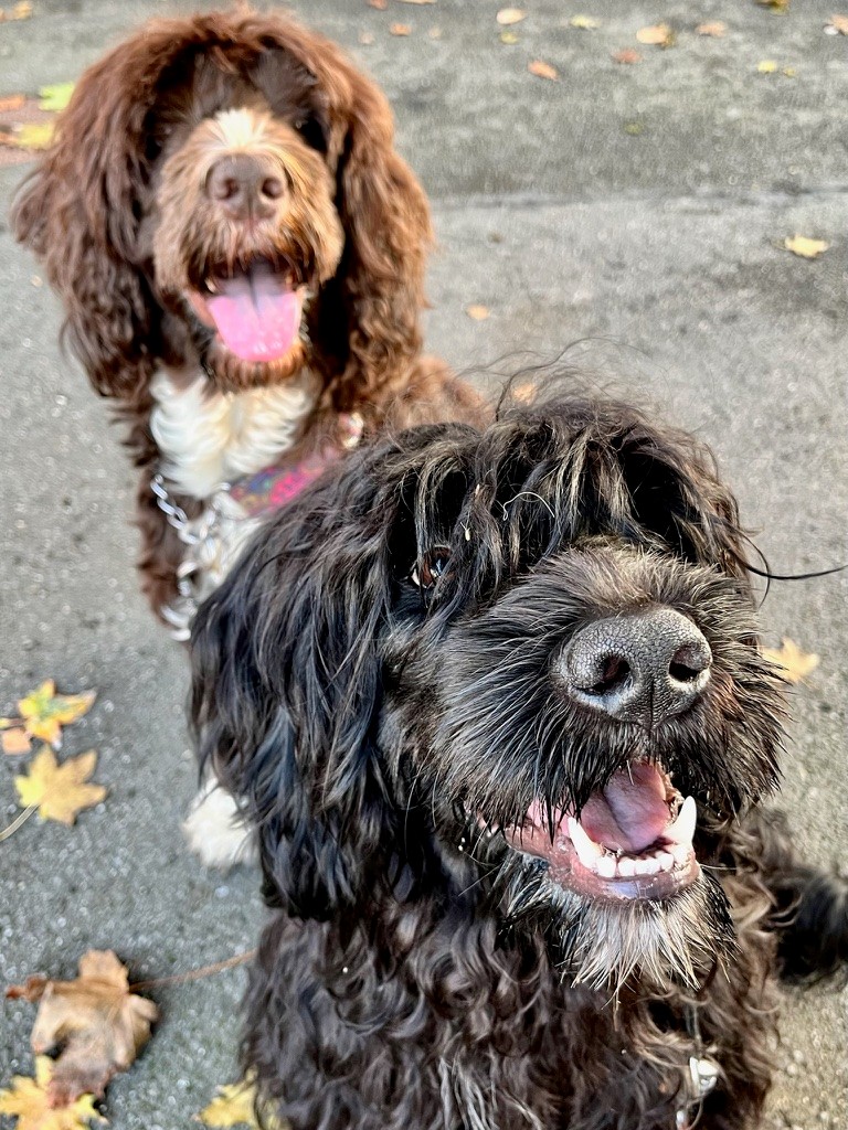 Sára a Izi dělají kuk