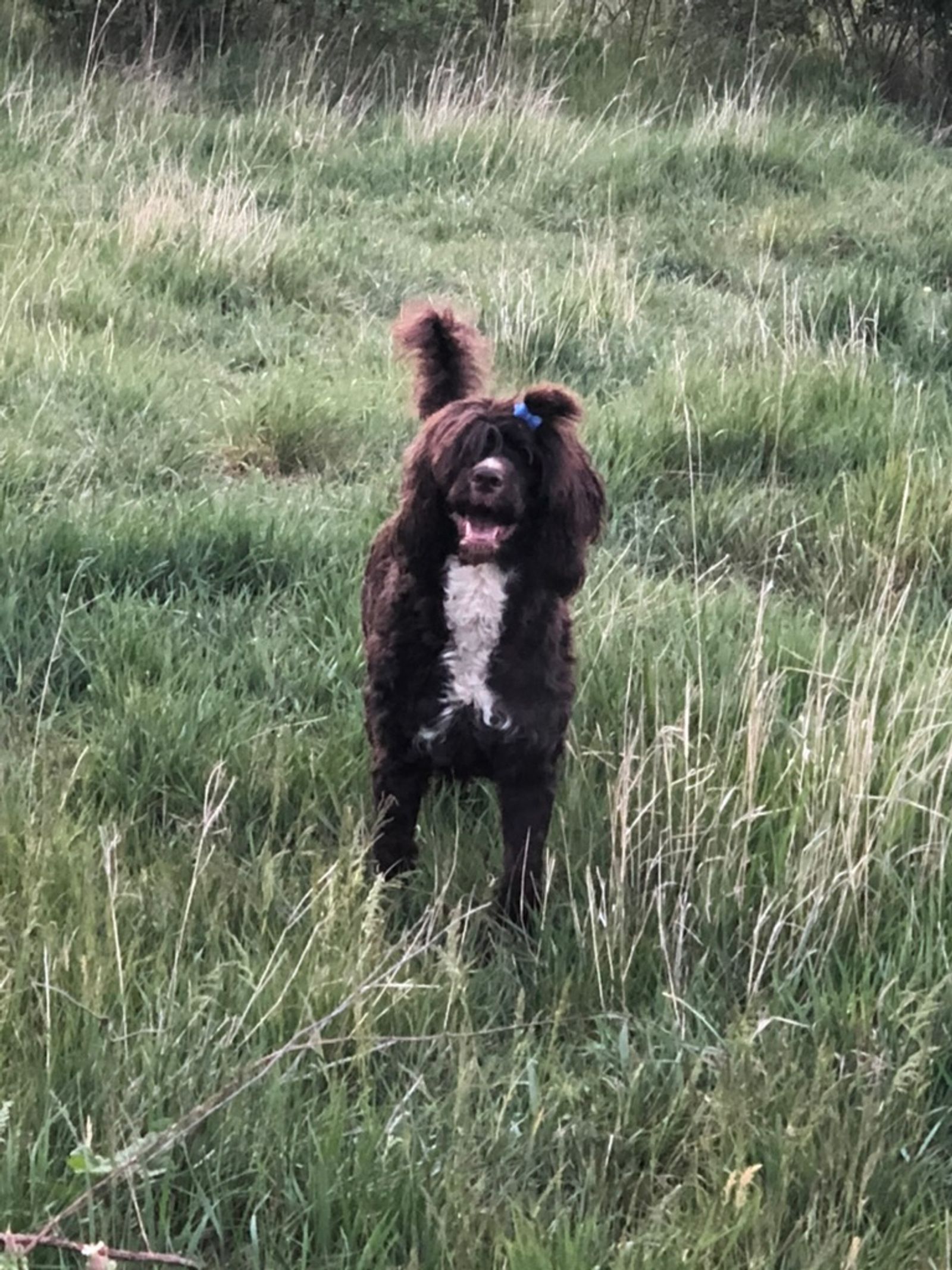 Fotografie Sára - obrázek 9