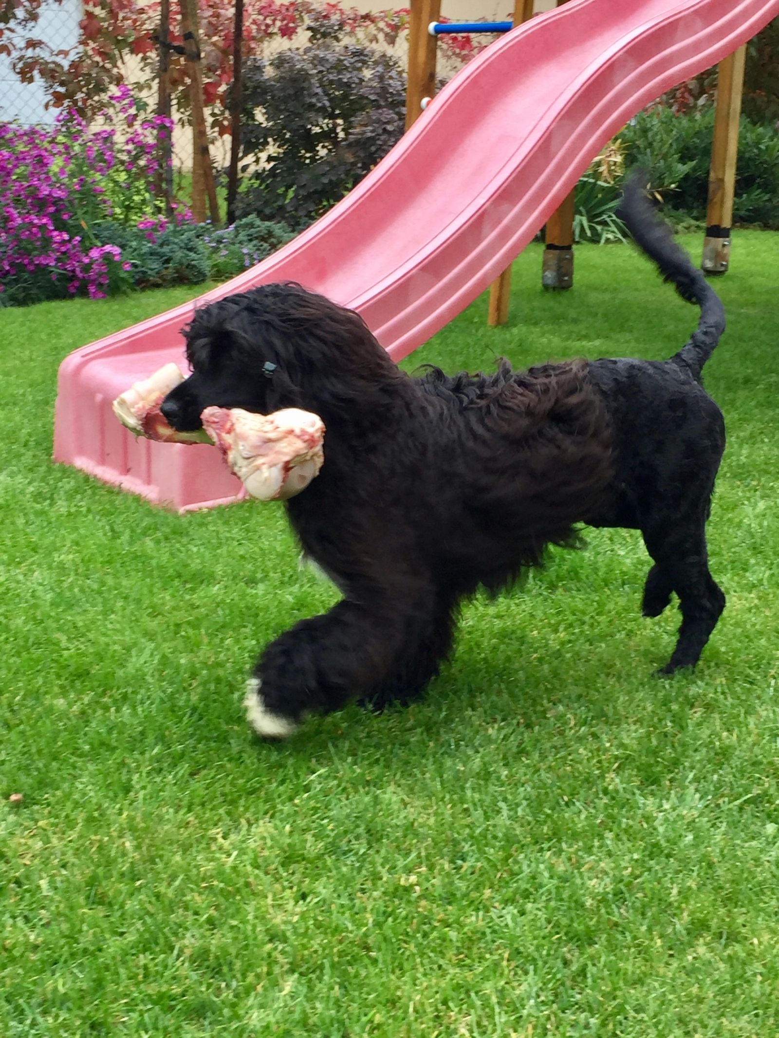 Fotografie Blondi - obrázek 9