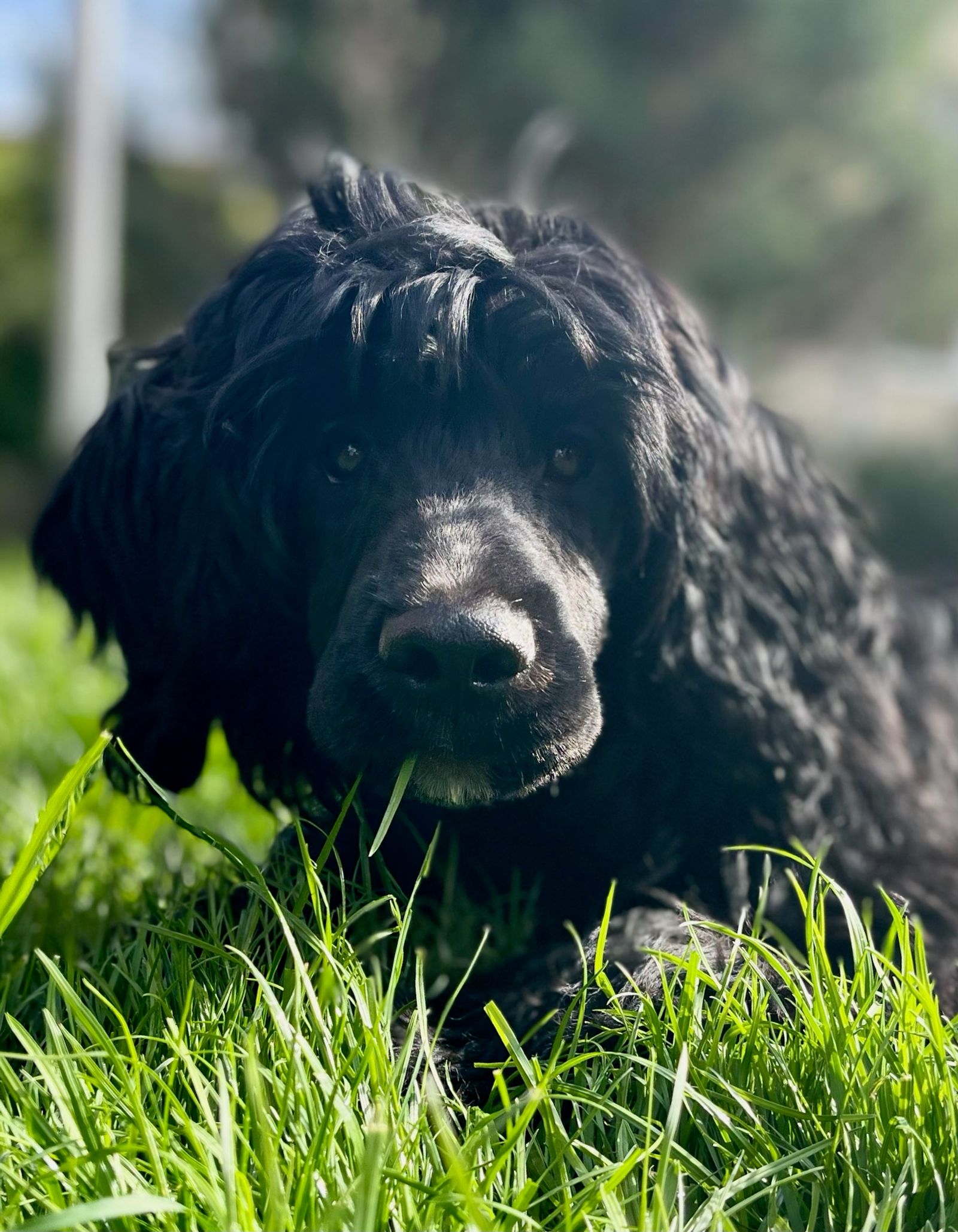 Fotografie Izi - obrázek 18