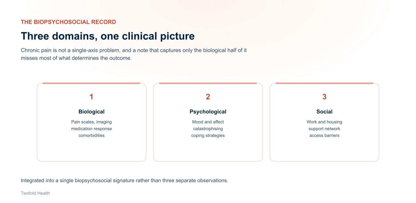The three biopsychosocial domains in a chronic pain record: biological (pain scales, imaging, medication response, comorbidities), psychological (mood and affect, catastrophising, coping strategies), and social (work and housing, support network, access barriers).