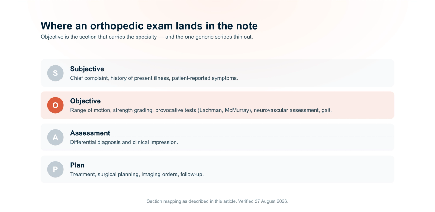 Where an orthopedic exam lands in a SOAP note. Subjective: chief complaint, history of present illness, patient-reported symptoms. Objective, highlighted: range of motion, strength grading, provocative tests such as Lachman and McMurray, neurovascular assessment and gait. Assessment: differential diagnosis and clinical impression. Plan: treatment, surgical planning, imaging orders and follow-up.