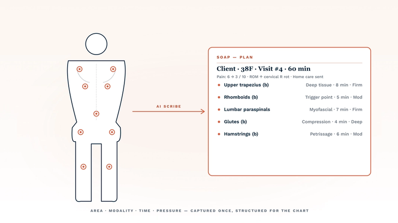 Best AI for massage therapy documentation and SOAP notes in 2026 — a posterior body silhouette with treatment-area markers on upper trapezius, rhomboids, lumbar paraspinals, glutes, and hamstrings is connected by a coral AI scribe arrow to a structured SOAP-plan card listing area, modality, time, and pressure per region. The illustration captures how a massage-fit AI scribe converts a 60-minute session into a fully itemised, insurance-ready chart entry instead of a narrative paragraph.