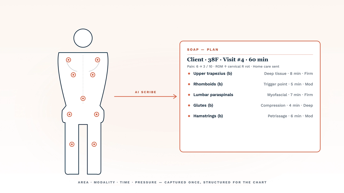 Best AI for massage therapy documentation and SOAP notes in 2026 — a posterior body silhouette with treatment-area markers on upper trapezius, rhomboids, lumbar paraspinals, glutes, and hamstrings is connected by a coral AI scribe arrow to a structured SOAP-plan card listing area, modality, time, and pressure per region. The illustration captures how a massage-fit AI scribe converts a 60-minute session into a fully itemised, insurance-ready chart entry instead of a narrative paragraph.