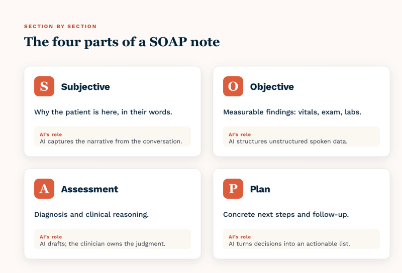 A four-part breakdown of a SOAP note with the AI’s role in each: Subjective captures the patient’s narrative; Objective structures spoken data into measurable findings; Assessment drafts diagnosis and reasoning for the clinician to own; and Plan turns decisions into an actionable list.