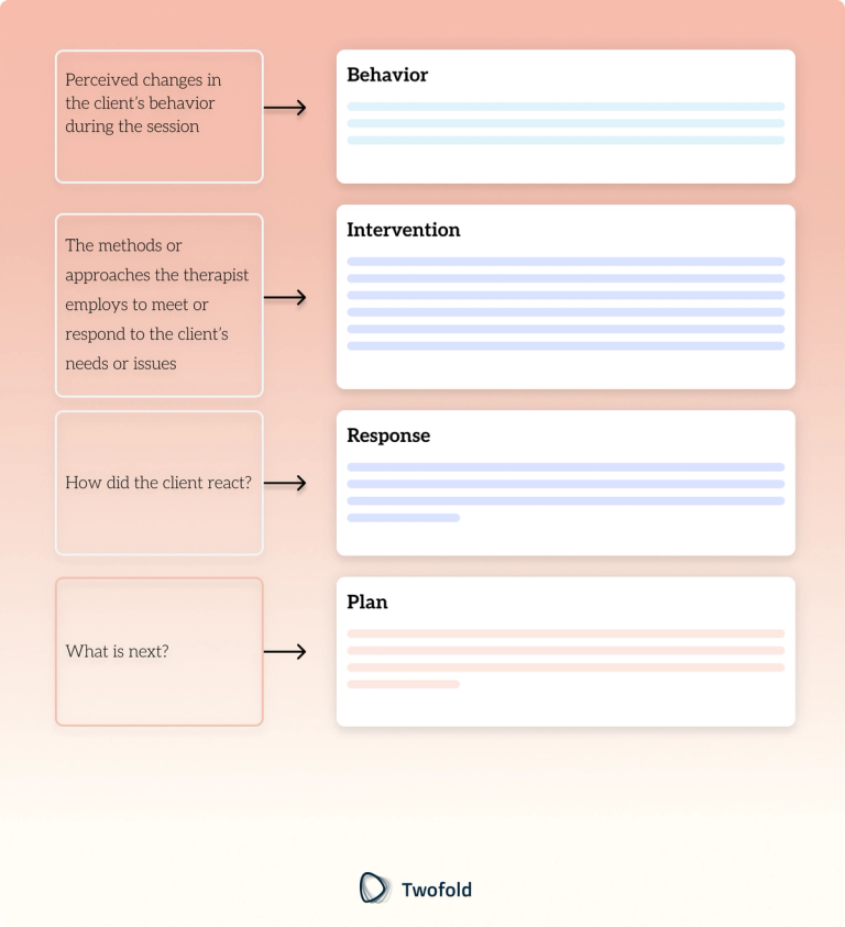 How to Write BIRP Notes: Template, Examples & Tips