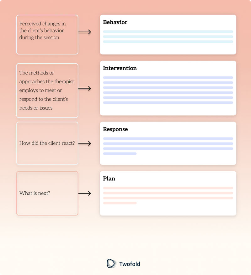 BIRP Note Template