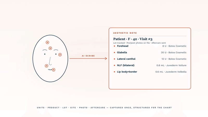 Best AI scribe for medspas in 2026 — a face profile with anatomic injection markers (forehead, glabella, lateral canthal, NLF, lips) is connected by a coral AI scribe line to a structured aesthetic note card listing units per site, product, lot tracking, photos, and aftercare. The illustration captures how a medspa-fit AI scribe converts a treatment conversation into a fully itemised chart entry, not a narrative paragraph.