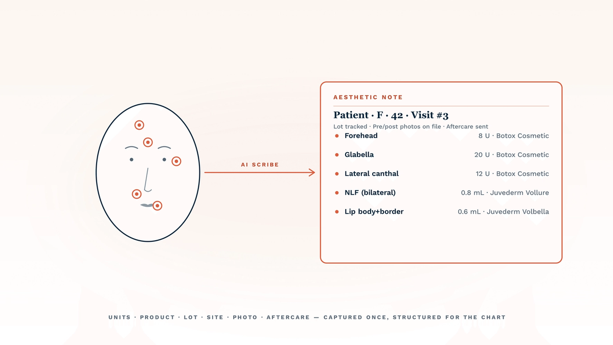 Best AI scribe for medspas in 2026 — a face profile with anatomic injection markers (forehead, glabella, lateral canthal, NLF, lips) is connected by a coral AI scribe line to a structured aesthetic note card listing units per site, product, lot tracking, photos, and aftercare. The illustration captures how a medspa-fit AI scribe converts a treatment conversation into a fully itemised chart entry, not a narrative paragraph.