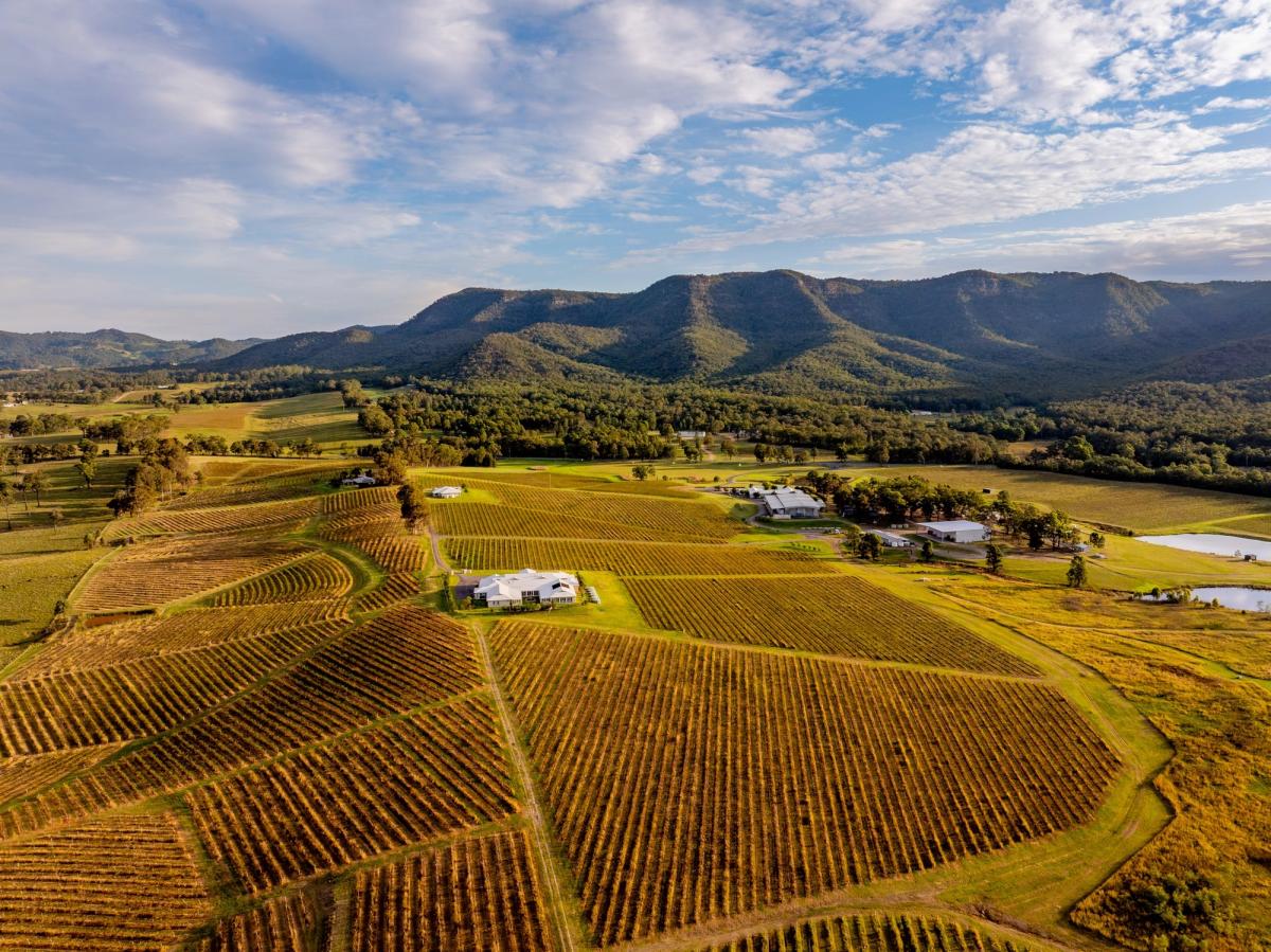 Drone Image of Vineyard in the Hunter Valley