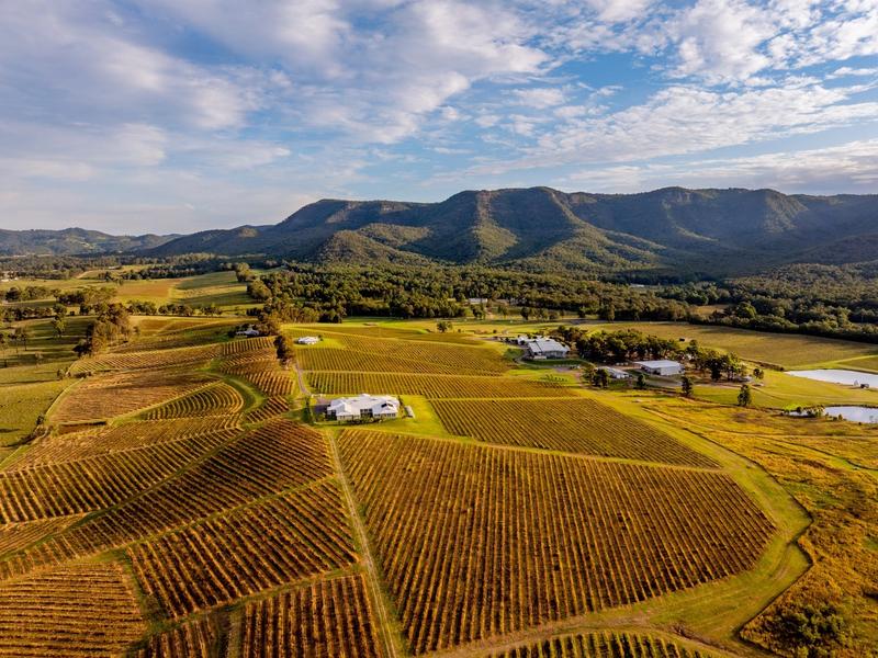 Leogate Estate vineyard in the Hunter Valley photographed for Austrade National Brand Image Library