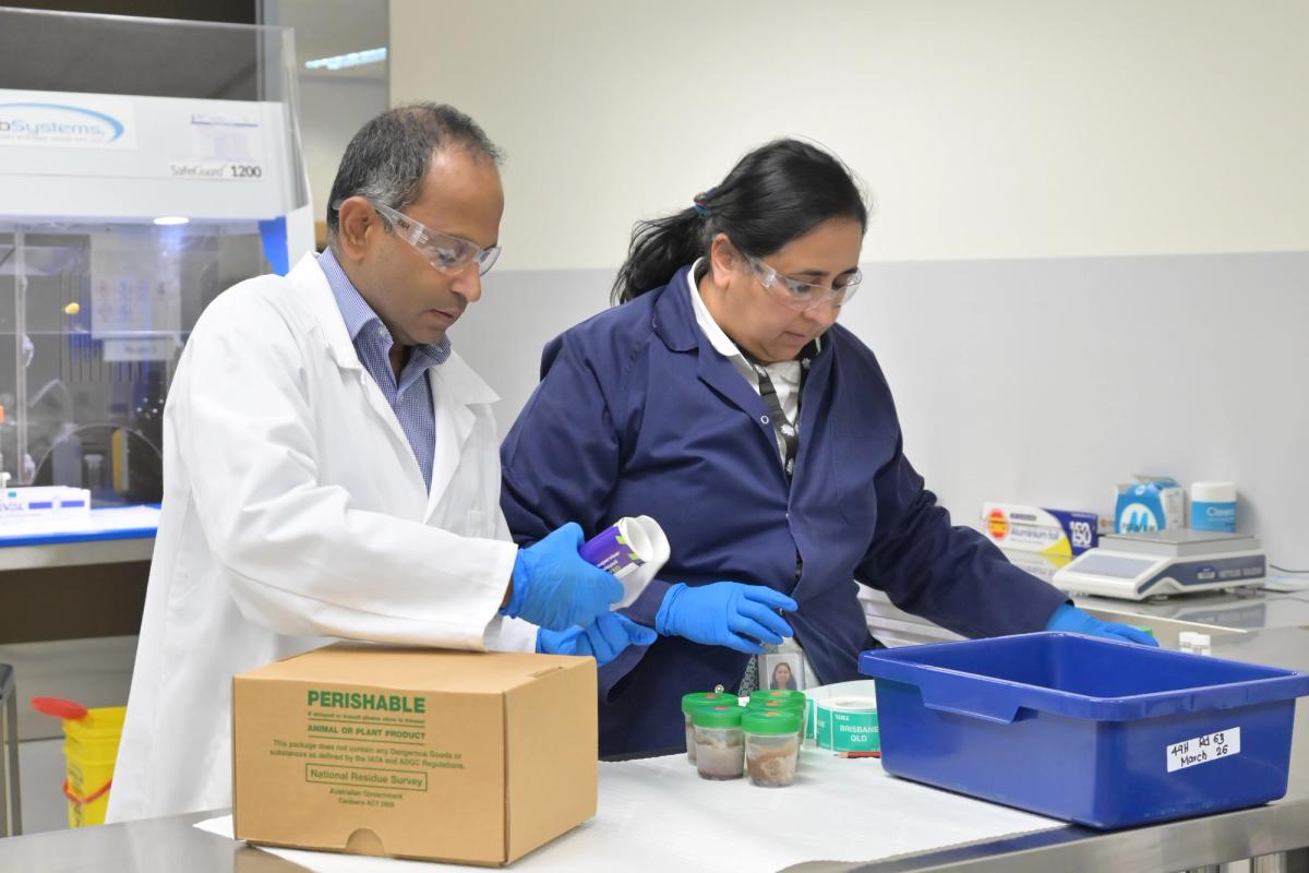 Scientists receiving and logging samples at a government residue testing laboratory in Canberra