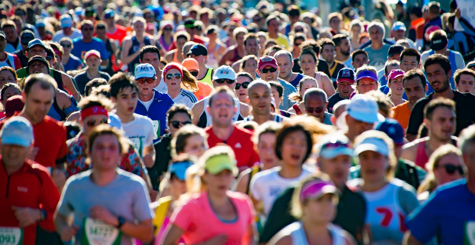 Transport for NSW team members taking part in the City2Surf fun run through Sydney, 2015.