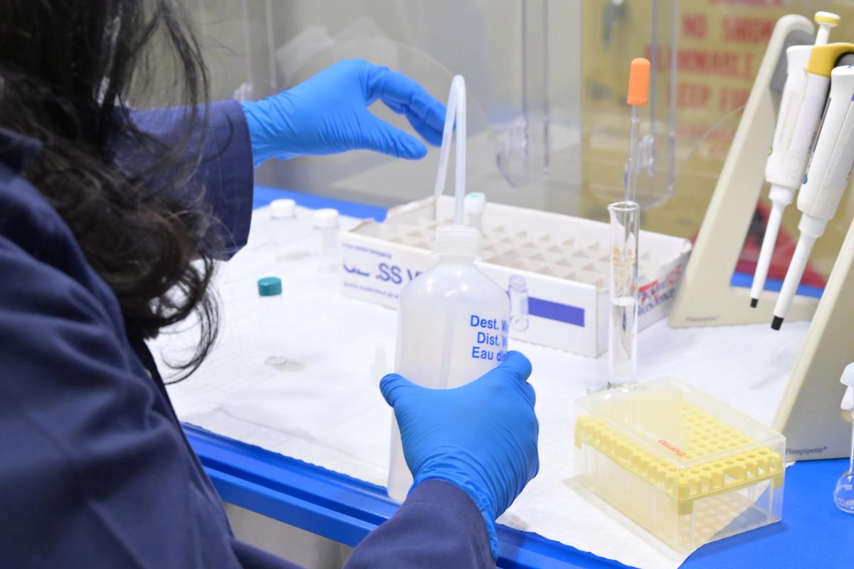 Laboratory scientist pipetting samples during residue testing for Australian meat exports