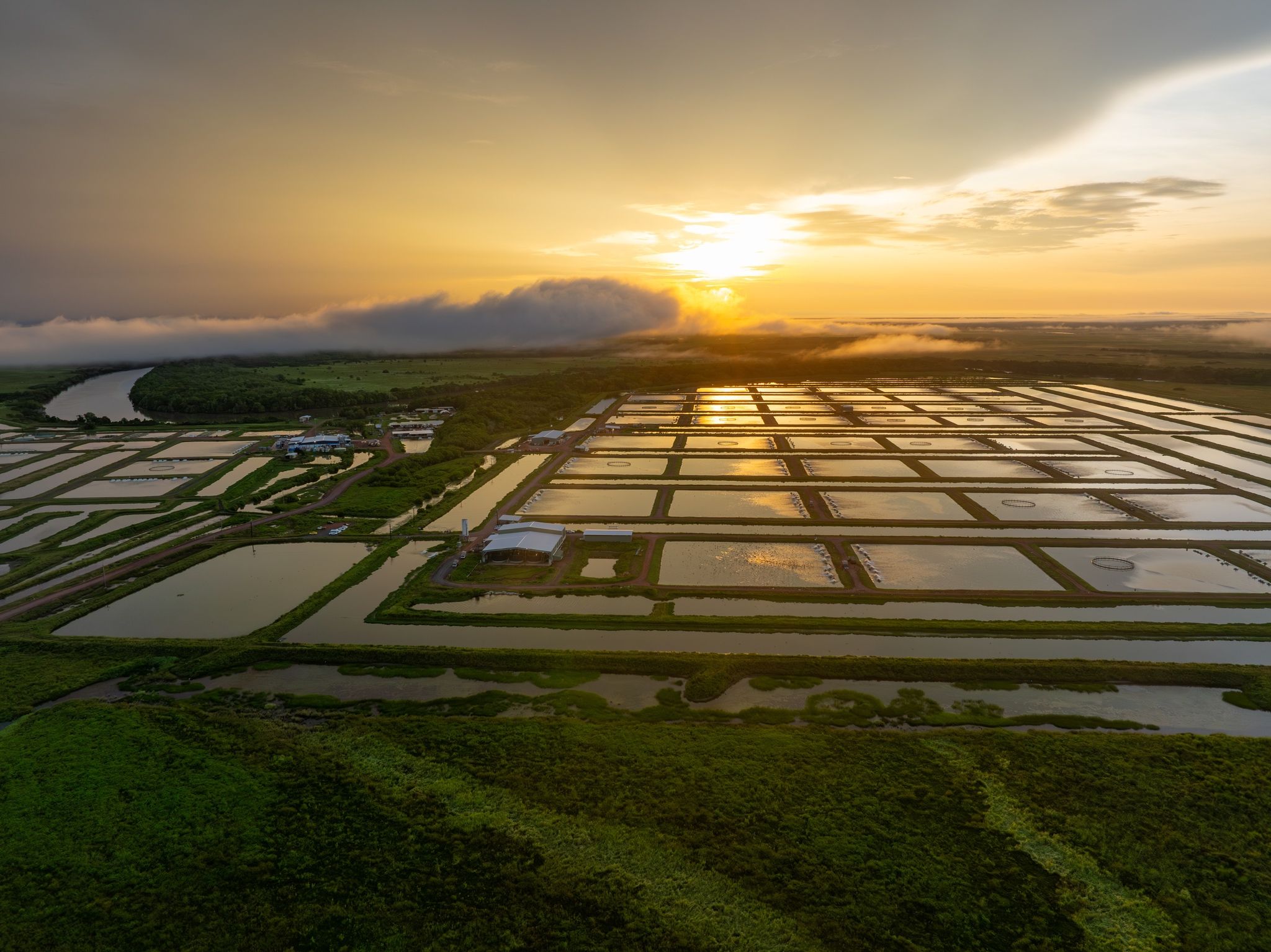 Aerial view of Humpty Doo Barramundi farm at sunrise, showing the grid of aquaculture ponds reflecting early morning light with the Adelaide River curving through the landscape and low cloud rolling across the distant floodplain.