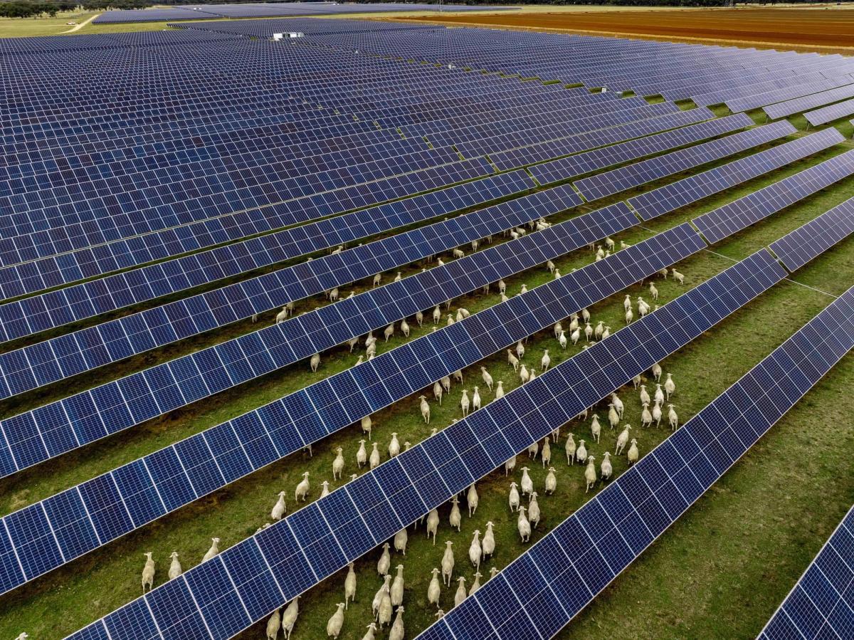 Darlington Point solar farm for Austrade National Brand Image Library