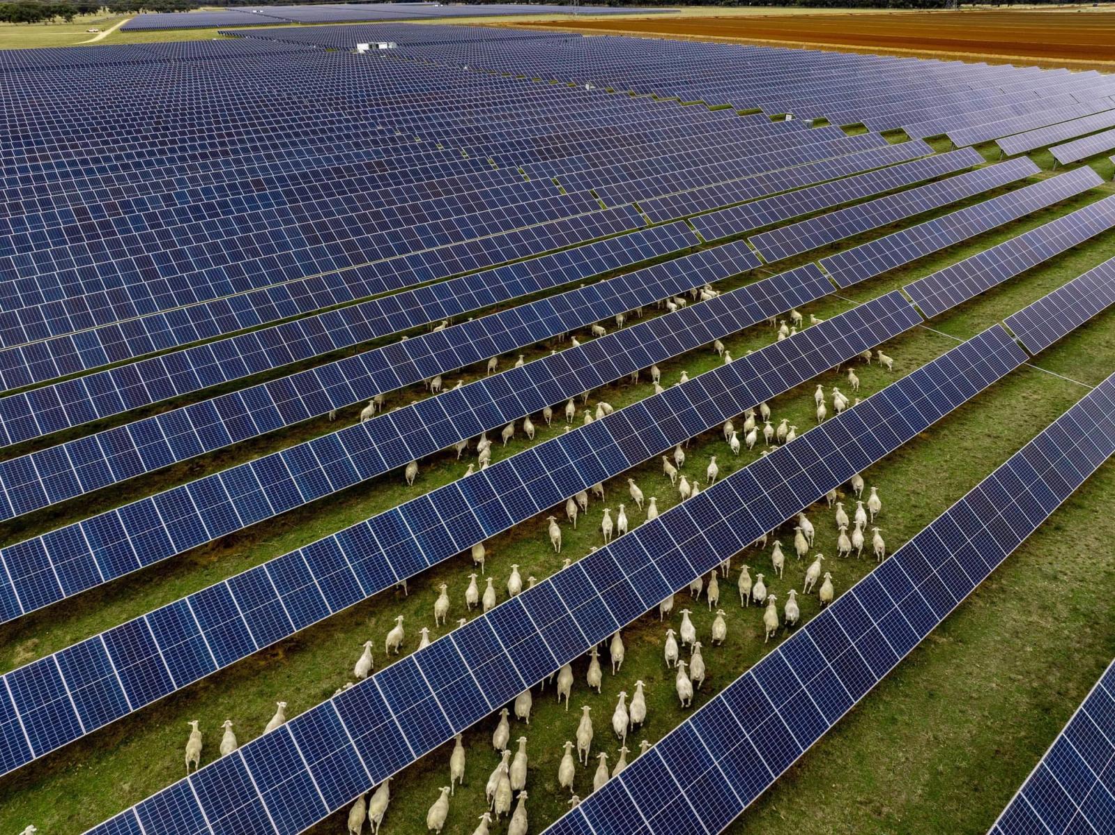 Darlington Point solar farm for Austrade National Brand Image Library