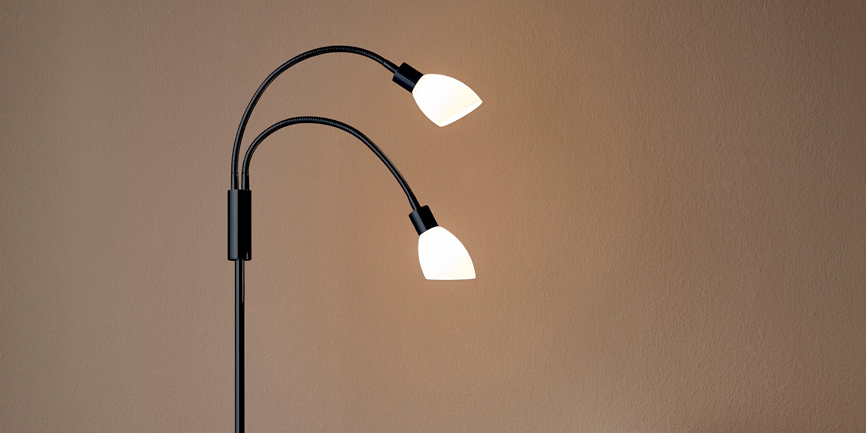 Floor lamp with two light houses