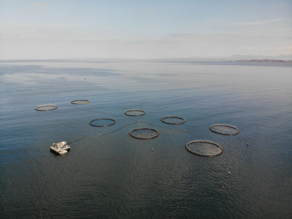 Billede af Organic Sea Harvests fiskefarm ud for Skotlands kyst
