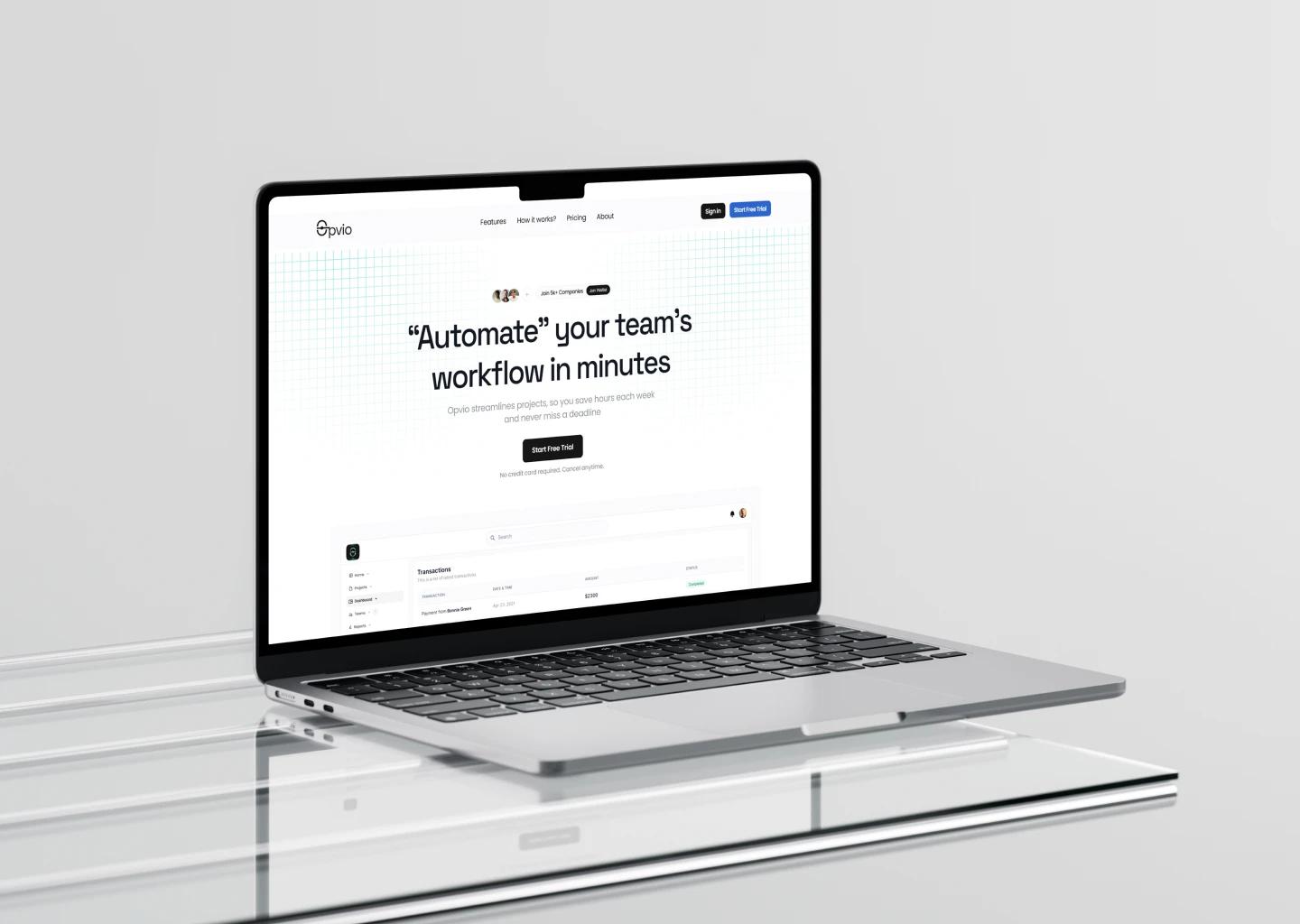 Web Development
