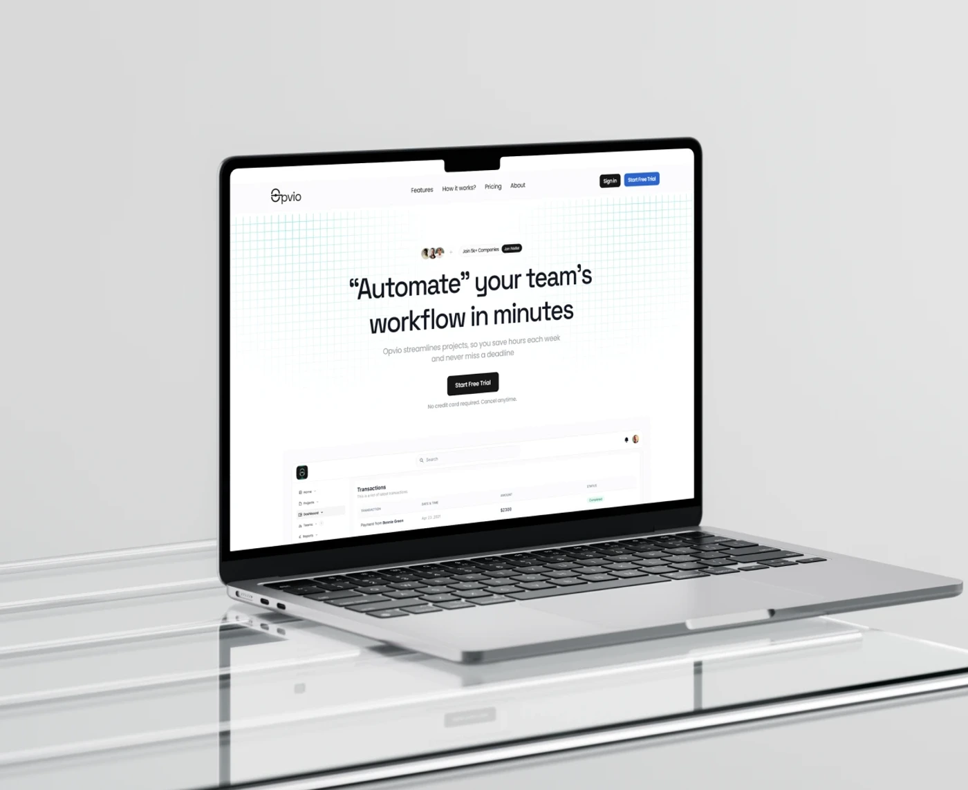 Web Development