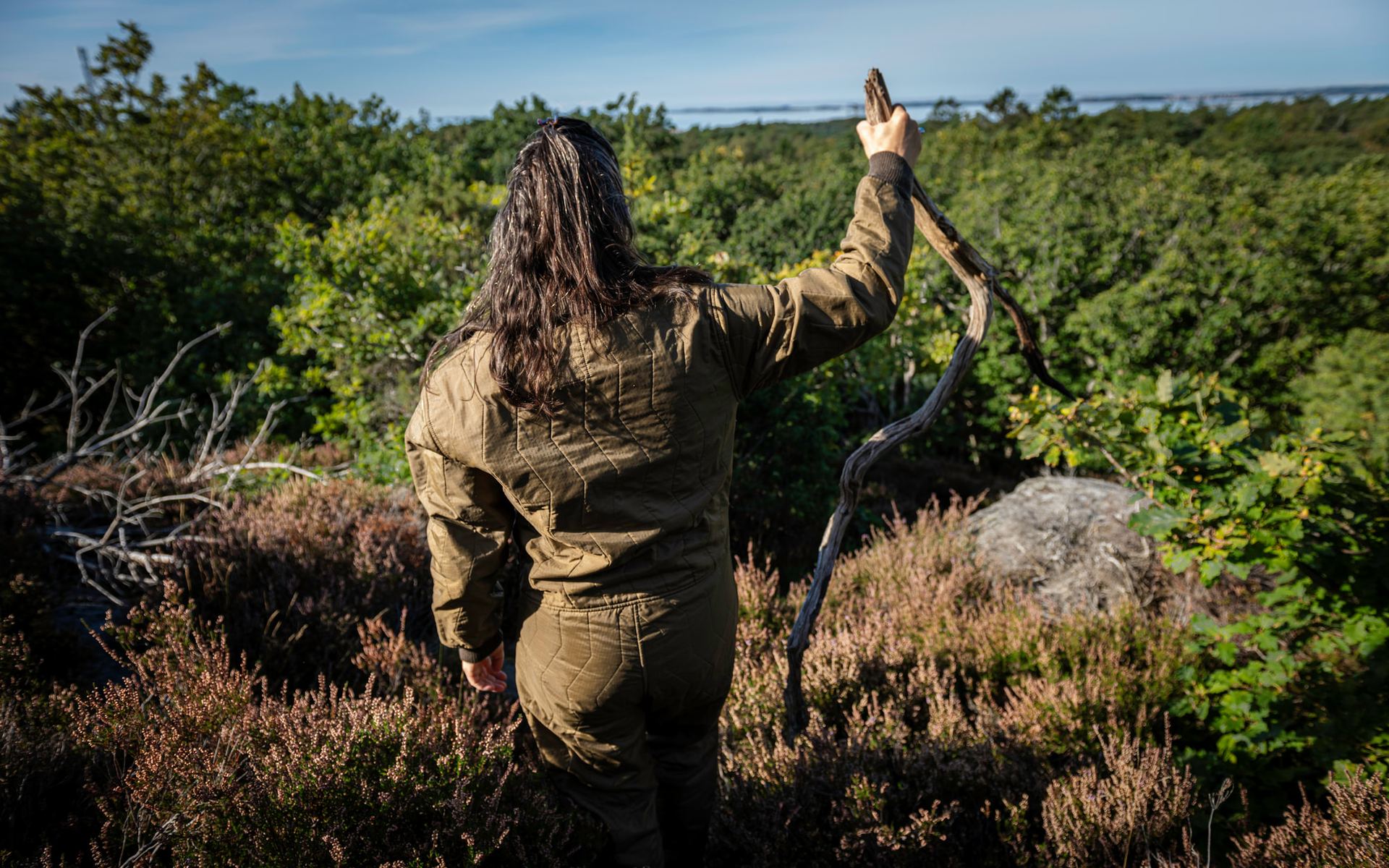 Stine står i ljung och blåbärsris med en stor gren lyft mot himlen.