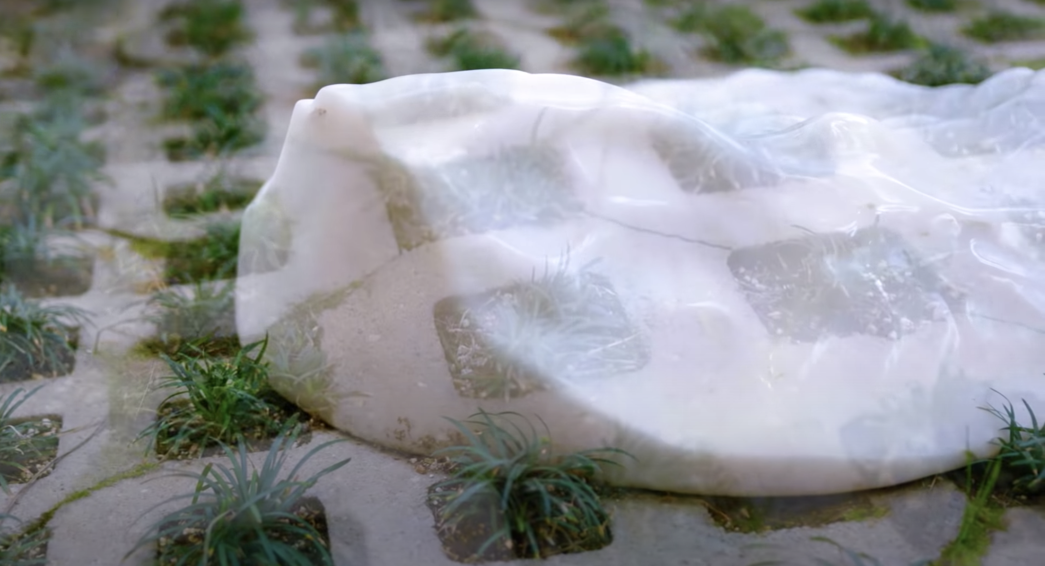 A semi-transparent white rock rests on grassy paver blocks, subtly revealing the textured surface beneath.