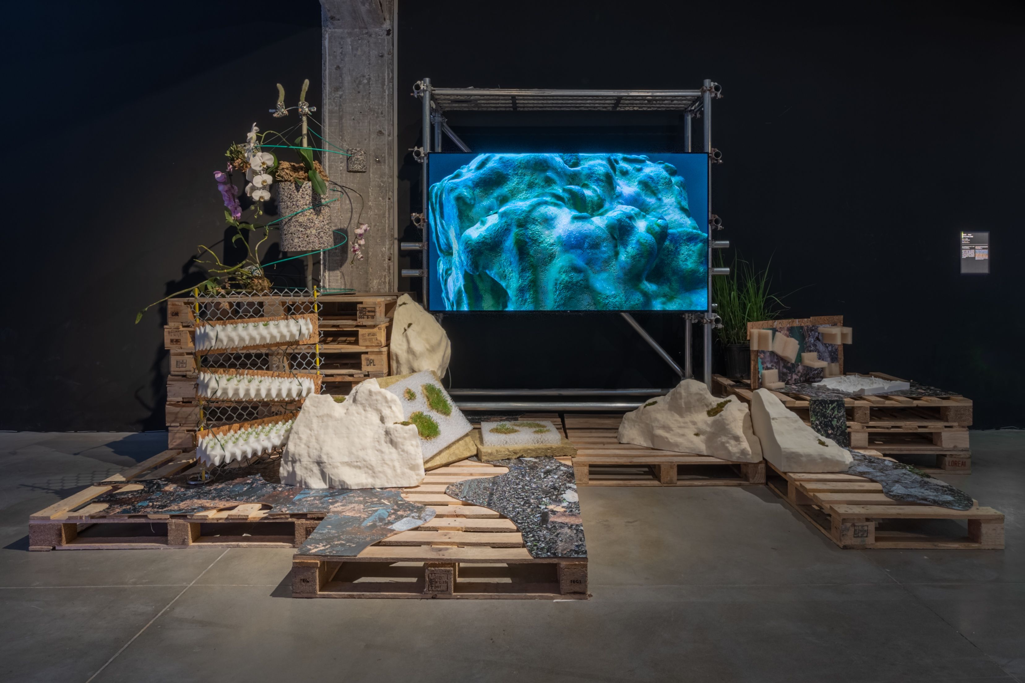 Art installation with pallets, rocks, and a screen displaying coral reef.