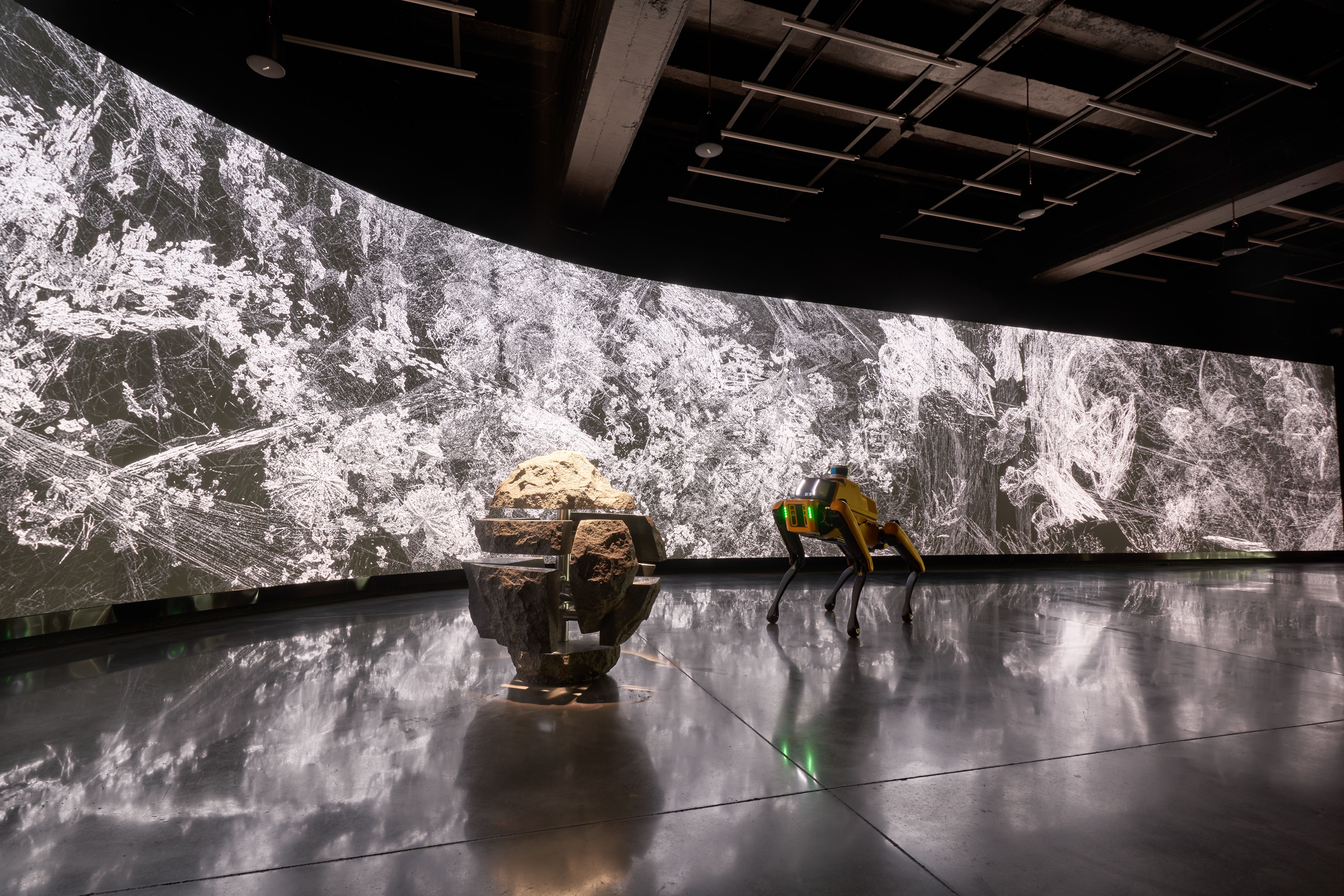 A yellow robotic dog facing a panoramic video display.