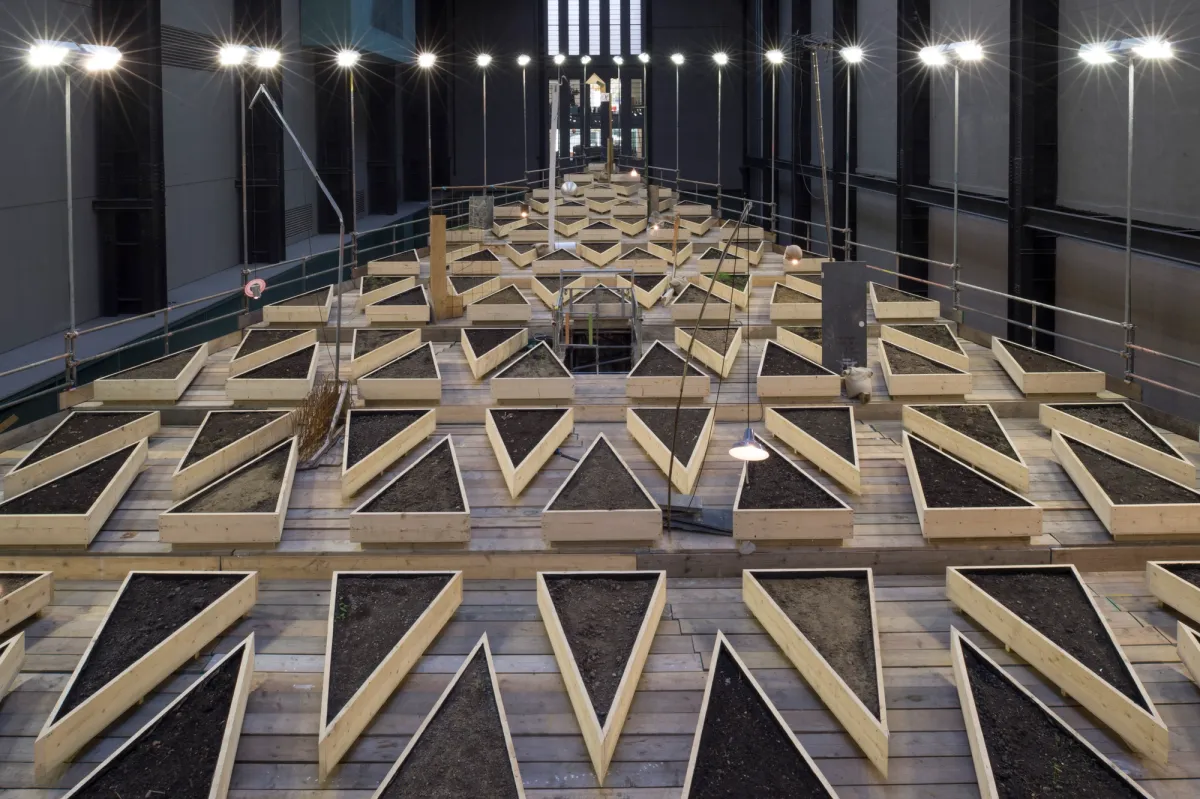 Large wooden triangle plant boxes organized in a unique, irregular chessboard pattern within a spacious gallery hall.