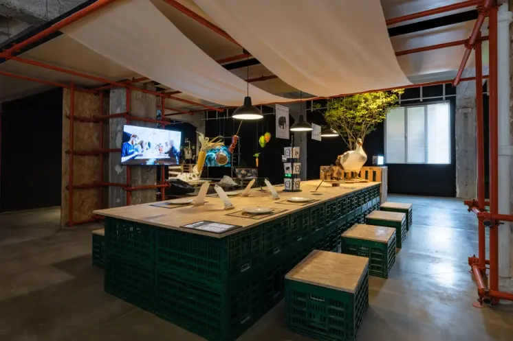 Exhibition space with tables of displays and hanging plant art.