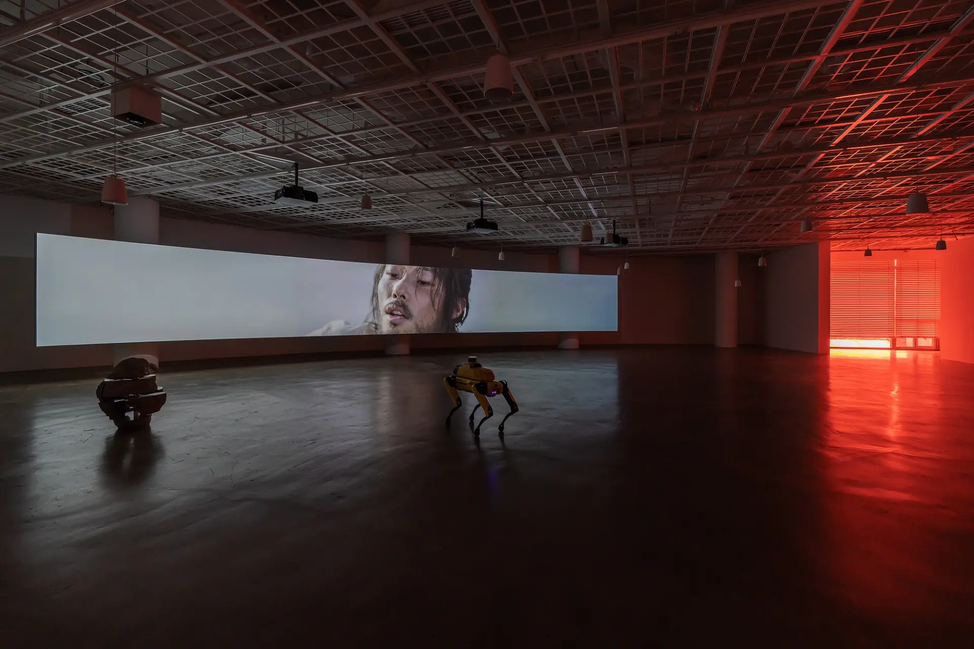 A large curved screen in a gallery displays a man's face, observed by a yellow four-legged robot.