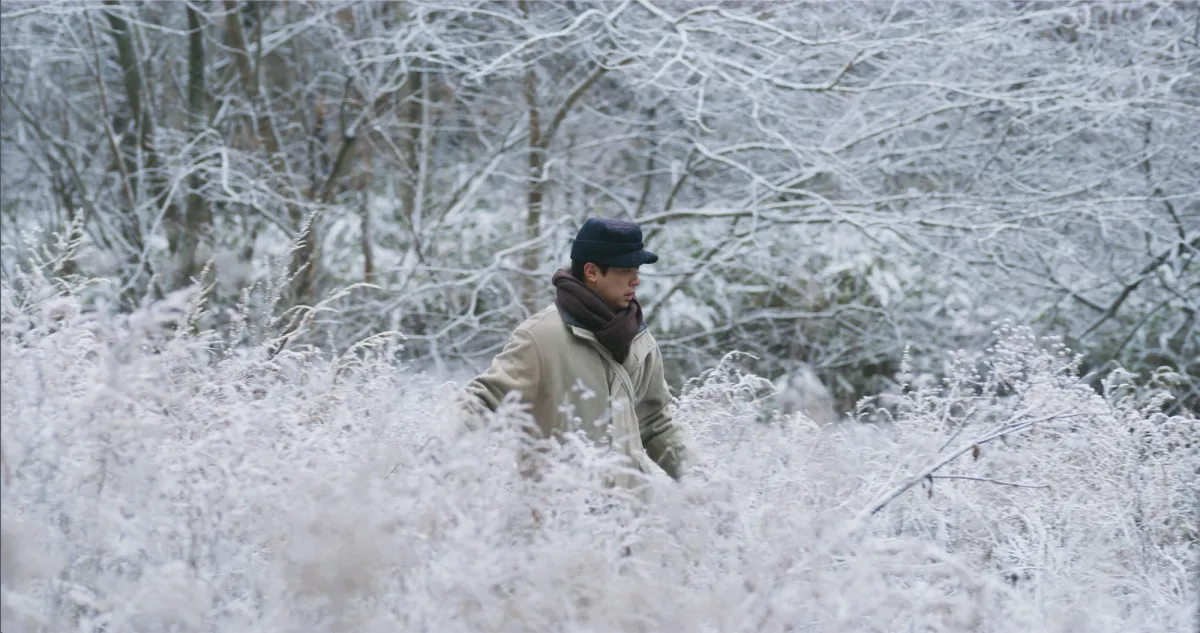 A person bundled up in winter clothing is walking outdoors; their path is surrounded by frost-covered grass and bushes.