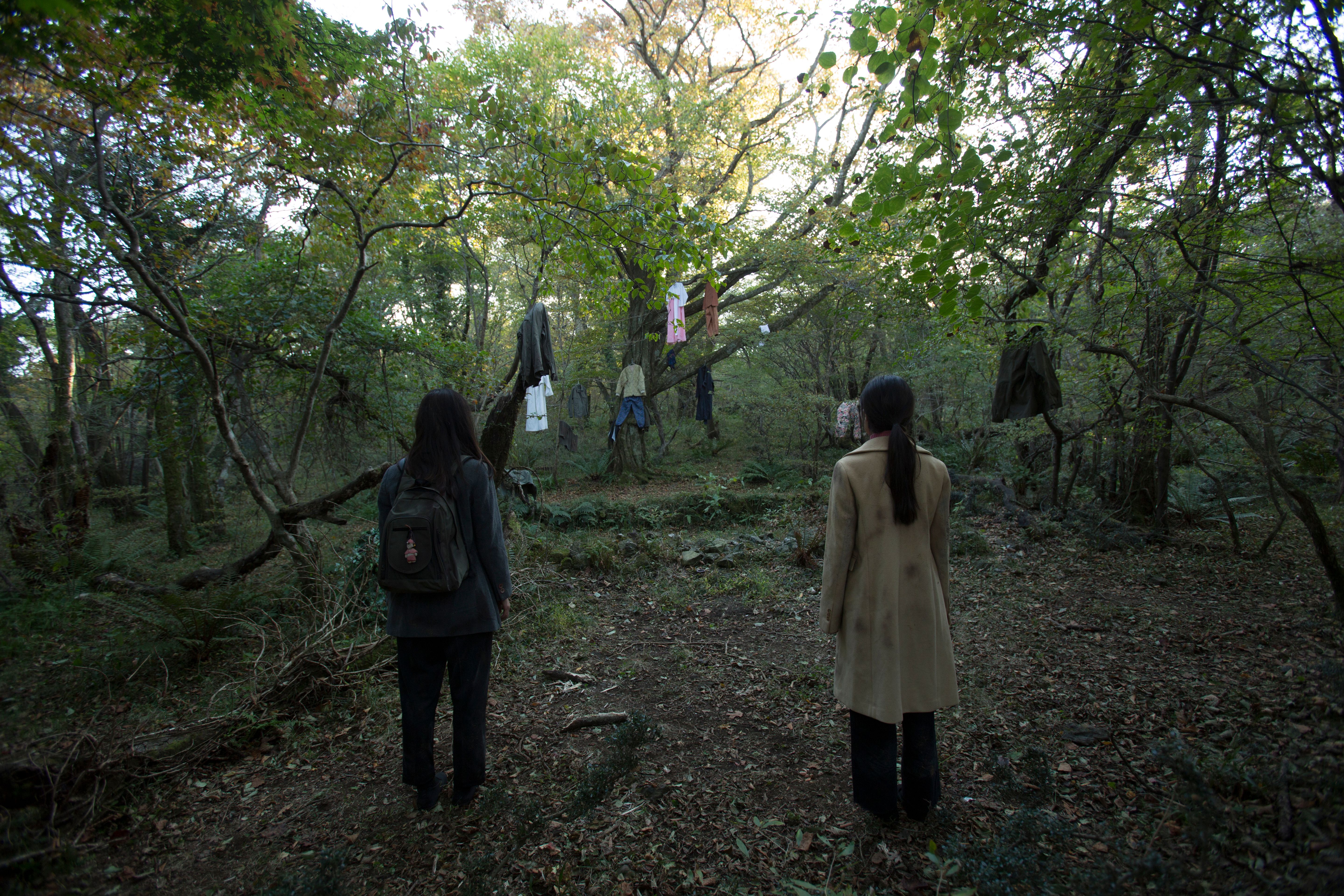 Two individuals seen from behind, standing in a forest setting, observing numerous pieces of clothing hanging from the sur...