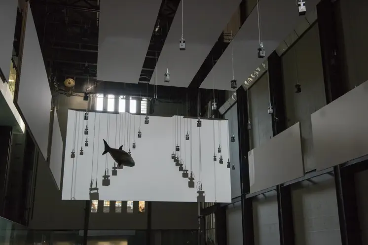An art installation featuring a fish sculpture suspended from the ceiling in a spacious gallery hall. White panels adorn t...
