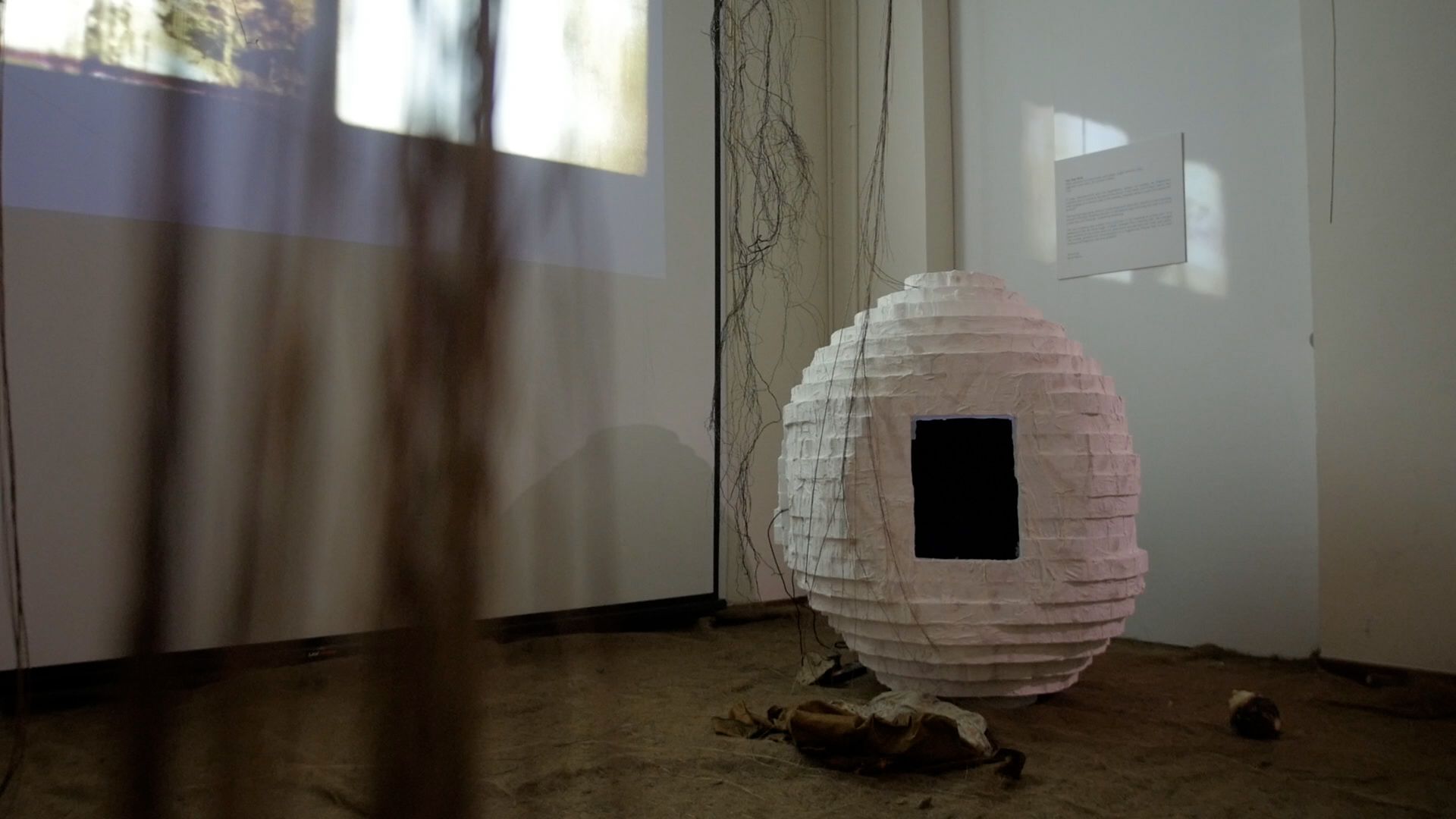A gallery installation featuring a spherical paper structure and projected films on adjacent walls.